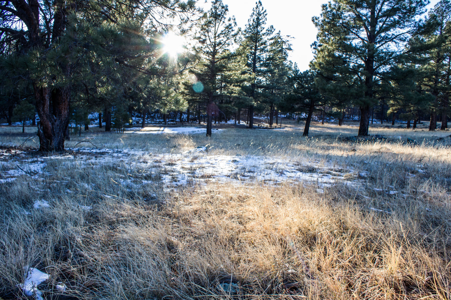 Years of preparation for a dry winter and early fire season